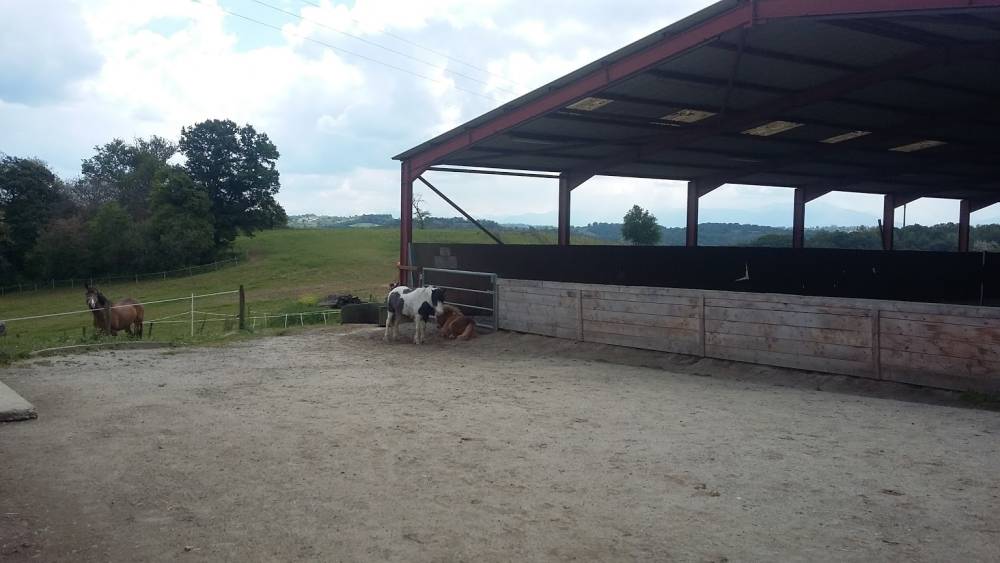 Poney club près de Artix