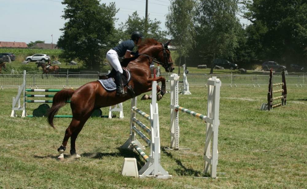 Concours saut obstacle près de Artix