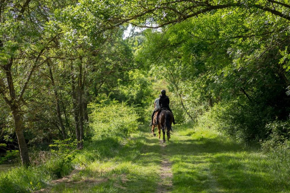 Balade a cheval près de Artix