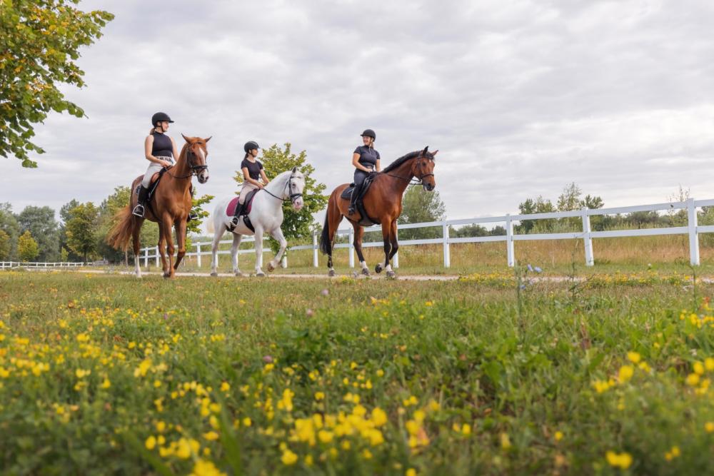 chevaux-balade-pas