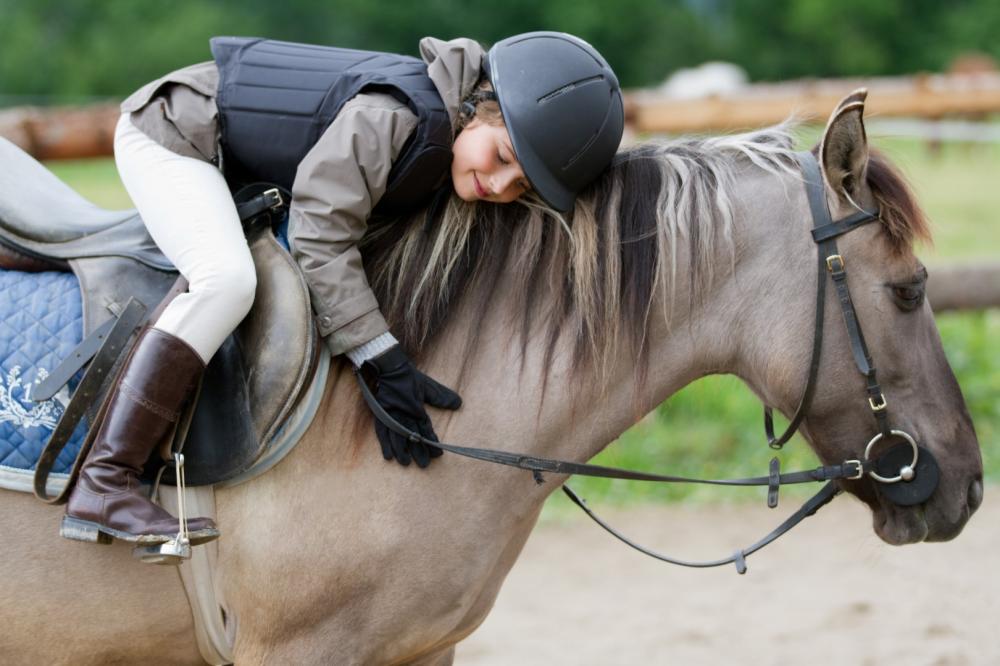 calin-poney